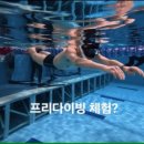 퐁당닷컴강