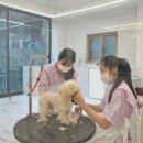 오늘의 개스트 이미지