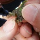 깨금발어린이집 이미지