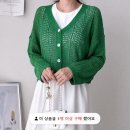 에이치컬렉션 이미지