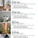 플레르무이