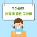 구아바 구아바잎 효능과 부작용 이미지