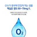 동원샘물남원