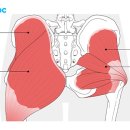 마디움한의원 이미지