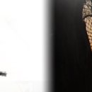 만방2리경로당 이미지