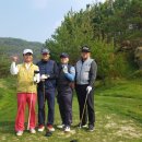 금강센테리움(주) 이미지