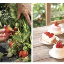 할리스커피 이미지