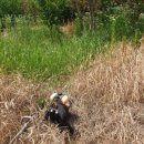 청마농장2 이미지