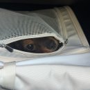 피개행개 | 피개행개 안경태 (feat.스벅신상메뉴,굴당면)