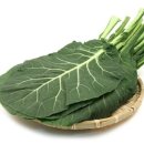 암을 이기는 한국인의 음식 이미지