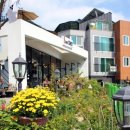 카페쵸이 - 창원시 진해구 여좌천로 158-12 | 카페쵸이