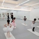 슬아트 발레 무용학원 이미지