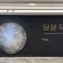 대구대학교 중앙박물관 이미지