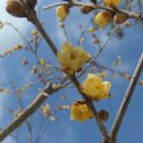 노안초등학교 이미지