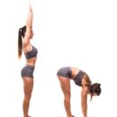 팀타이거짐 이미지