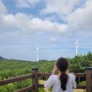 세영발전소 이미지