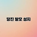 당진 탈모 성지