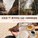 먹거리방주전부리 | 삿포로 여행｜벚꽃 막 피던 날, 홋카이도 신궁 + 마루야마 공원 다녀온 후기 (가는 법·먹거리까지)