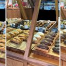 더포레스트 이미지