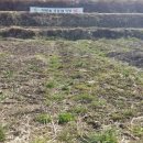 다복솔농장 이미지