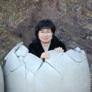 비봉화석지 이미지