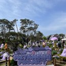 하트몽 | 메타몽진심인 사람의 메타몽 팝업 사진 모음집