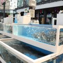 독도활어횟집 이미지