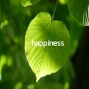 스포츠 스태킹 1 이미지