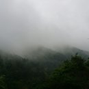 아지네농장 이미지