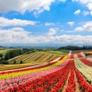 비에이(B/A) 이미지