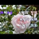 [시낭송]6월의 시모음-6월의 장미/ 유월의 노래 / 6월의 기도 이미지