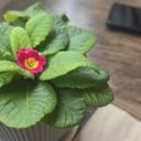 완월동216 이미지