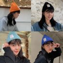 1231 이미지
