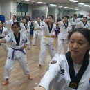 푸름태권도장 이미지