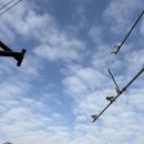 (주)정인 | 251215~251221 원남매 한 주 일상 - 제이미 잉글리쉬 / 정인검도관 / 수시로스시 / 엄마손칼국수 / 덕암...