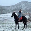 일도목장 이미지