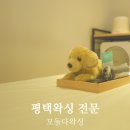 평택남자왁싱 어떤 곳으로 가야 하는지 함께 알아보아요