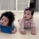 하루 이미지