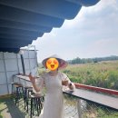 호치민 쇼핑 투어⁴] 사이공 스퀘어 - Taka plaza 지하상가 - 벤탄시장/ 아오자이 구매 후기 가격 흥정 팁