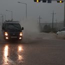 북부천변 이미지