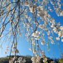 어답산 어슬렁빌리지 이미지