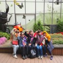 서림동-46 이미지