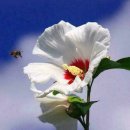 (주)가장 이미지