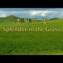 6월이 되면 생각나는 세상을 달리한 친구를 그리는 노래 이미지