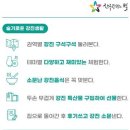 강진스테이오소 이미지