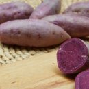 현희 농장 이미지