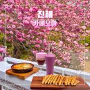 진해 겹벚꽃 카페 마운틴뷰 애견동반 브런치 카페 모아