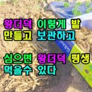 평생먹을