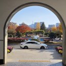 서촌 | [서촌 맛집]일식당...사토루 더 서촌.(솔직후기)