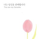 서예와 캘리그라피 이미지